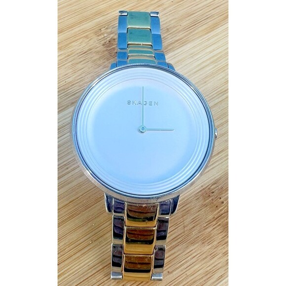 Skagen Ditte Silver Dial Two-tone Stainless Steel Ladies Watch SKW2339 Needs Bat - Picture 2 of 7